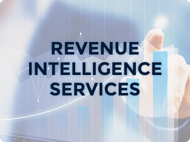 Revenue Intelligence Services