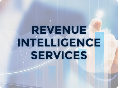 Revenue Intelligence Services Featured Image Icon